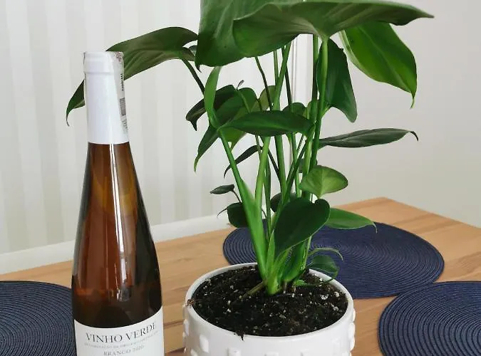 Apartament Redlowo Apartment Gdynia